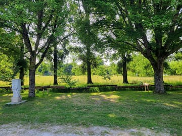 Shaded grass pitches