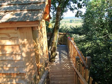 Entrance to the treehouse