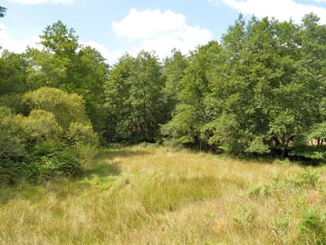 Large grass pitches