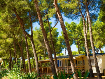 Mobil Home dans la pinède