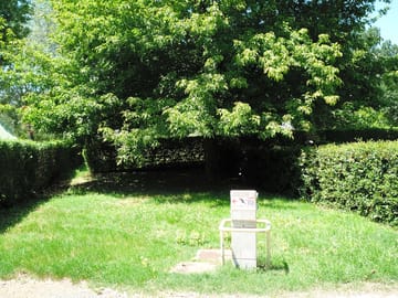 Pitches surrounded by trees and bushes