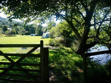 Lower field for tents