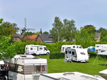 View of the site