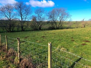The camping field