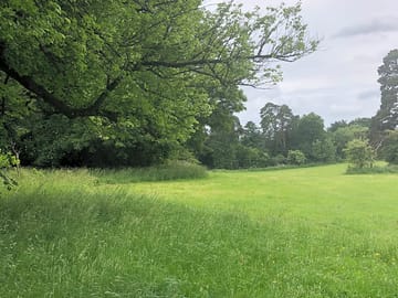 Westonbirt grounds