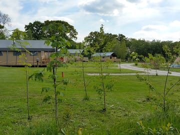 Modern safari tents