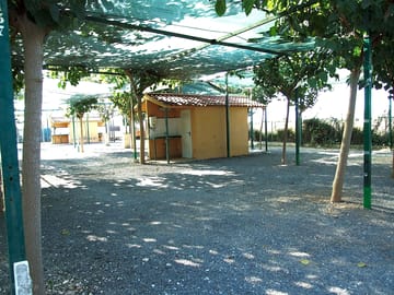 Shaded pitches among the trees