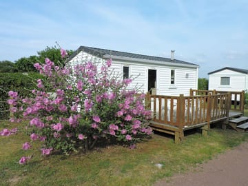 Holiday homes surrounded by gardens