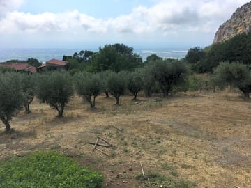 View from the site