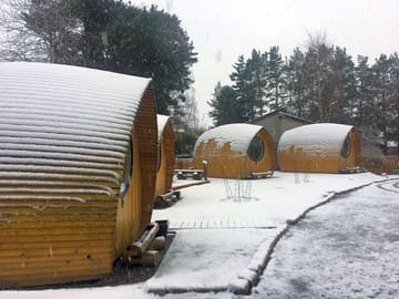 Pods on a snowy day