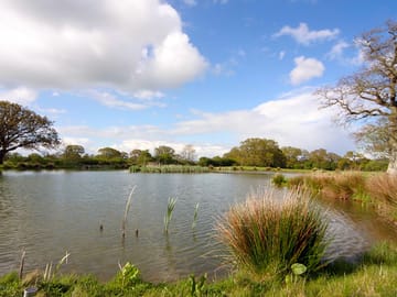 On-site lake