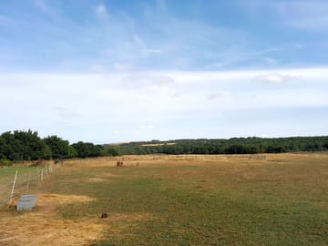 View of the field