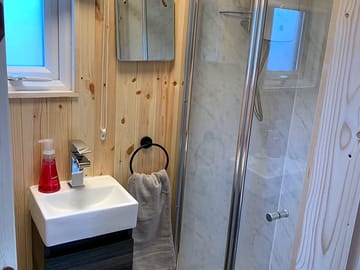 Bathroom basin and electric shower