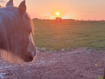 Sunrise over the site