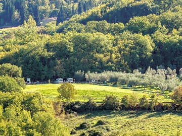 Pitches surrounded by trees
