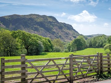 Birker fell