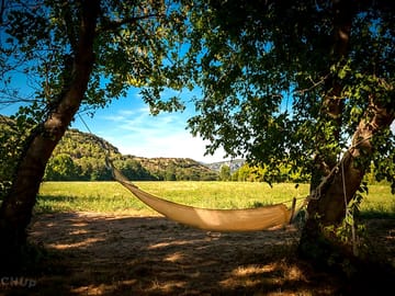 Hammock and pitch