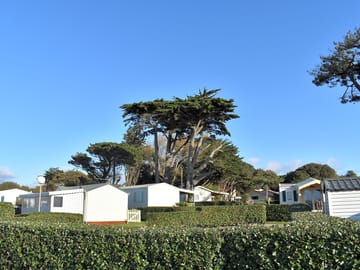 Trees and hedges all around