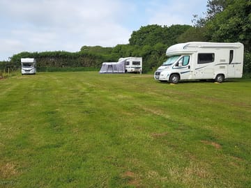 Grass pitches