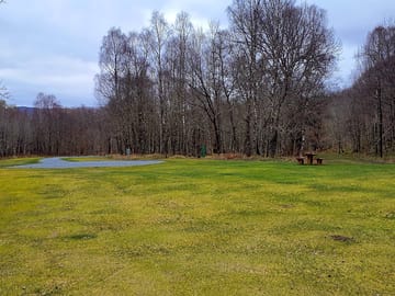 The backfields pitches
