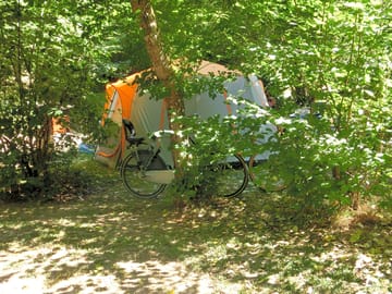 Shady spots