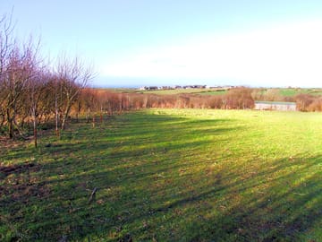 Spacious pitch