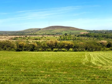 Grass pitch