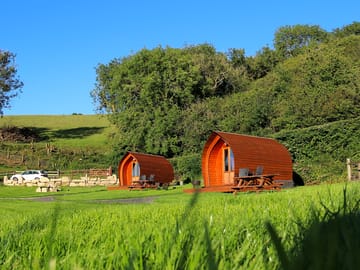 The pods