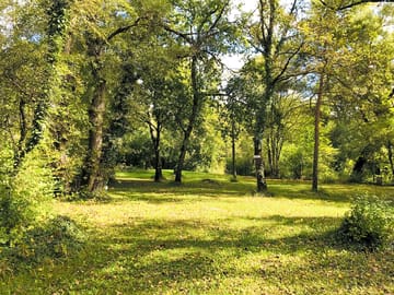 Green spaces around the site