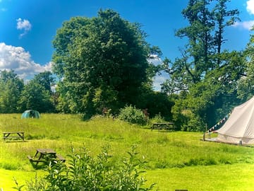 Www.toadabode.co.uk