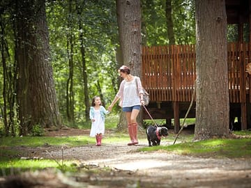 Forest holidays