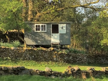 Hut under the trees