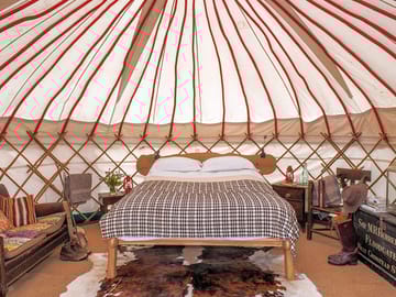 Knepp wildland safaris and camping