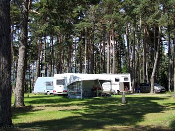Spacious pitches surrounded by trees