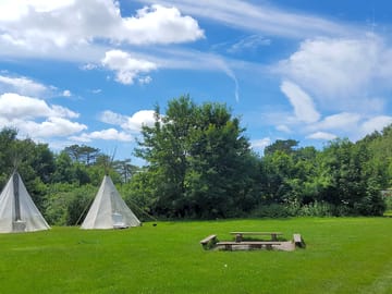 Main field