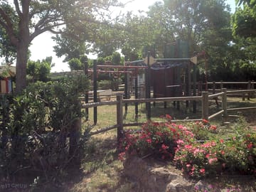 Jungle gym