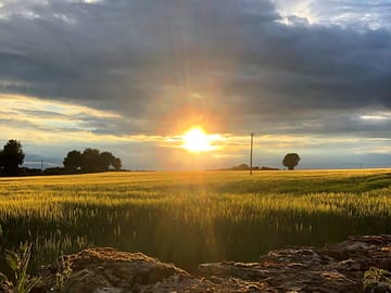 We have spectacular sunsets over the farm