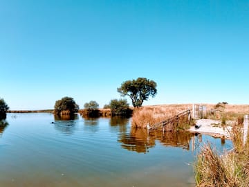 The lake