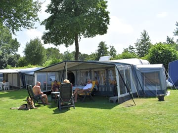 Pet-friendly camping pitches