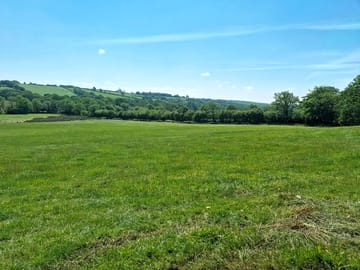 Grassy fields