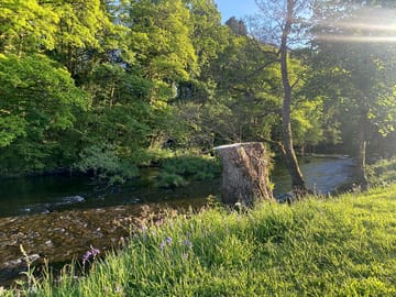 View from riverbank