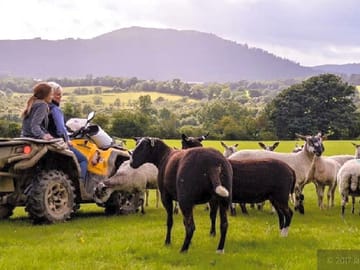 Working farm