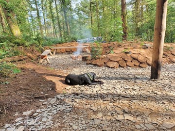 Firepit in the woods