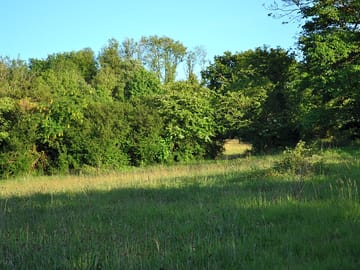Pitch meadow 4