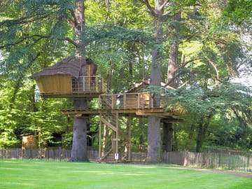 Ouistitis treehouse