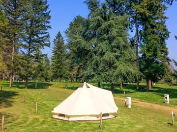 Tipi
