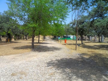 General view of the pitches