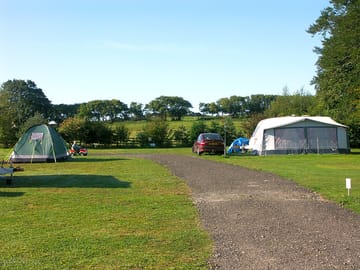 Electric grass tent pitches