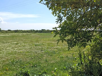 Camping field