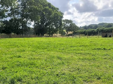 Grass pitches